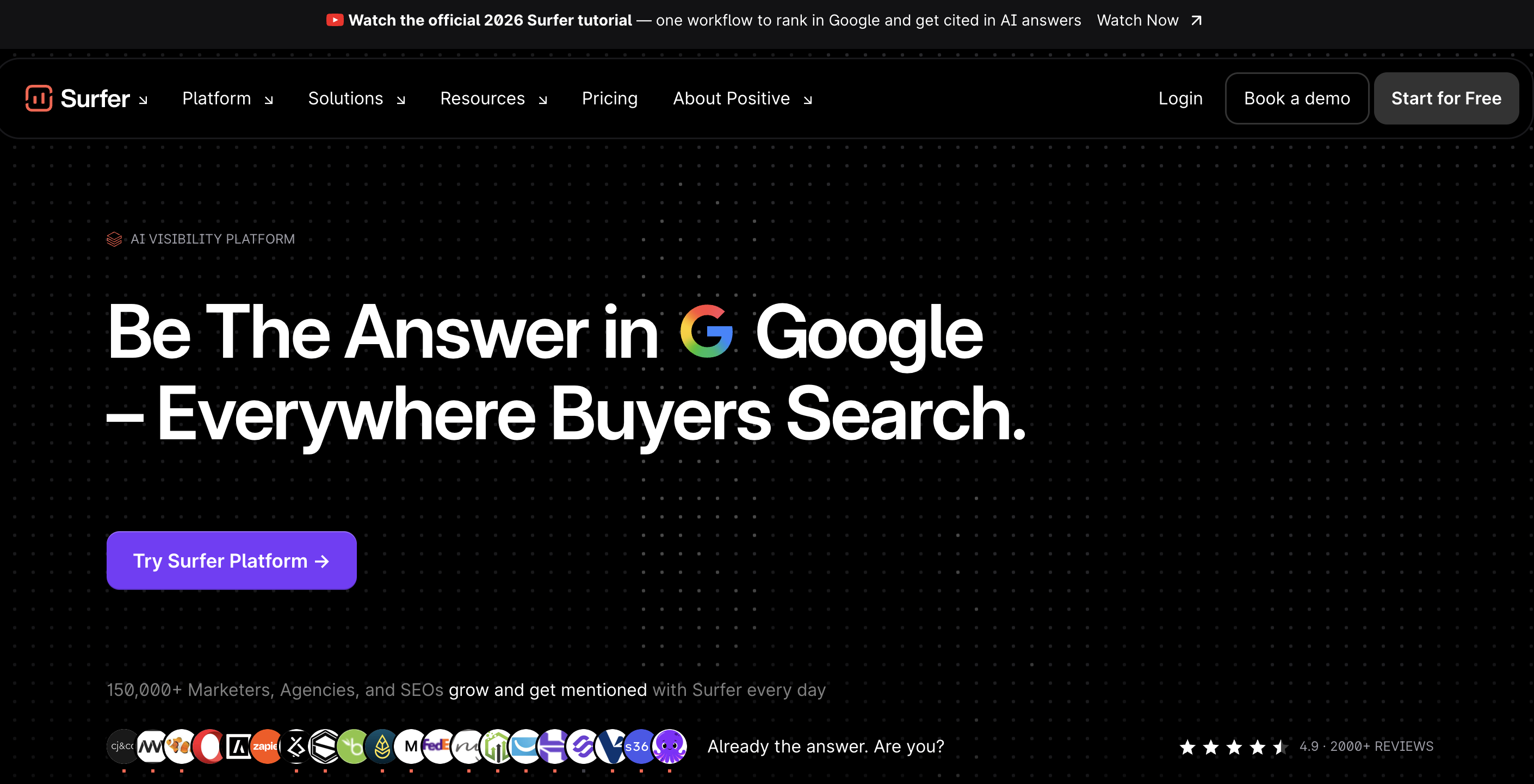 Surfer screenshot or product image